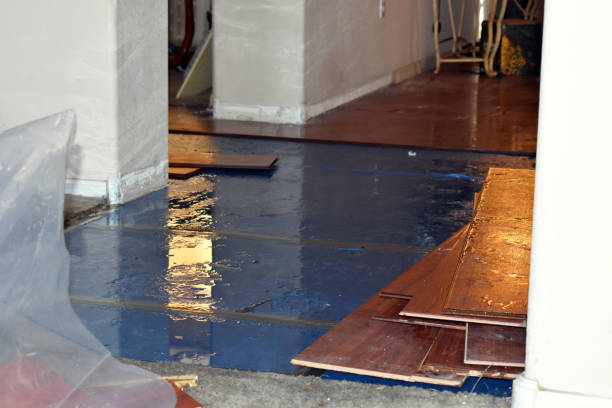 Professional Basement Flood Cleanup technician working in Bristow, OK